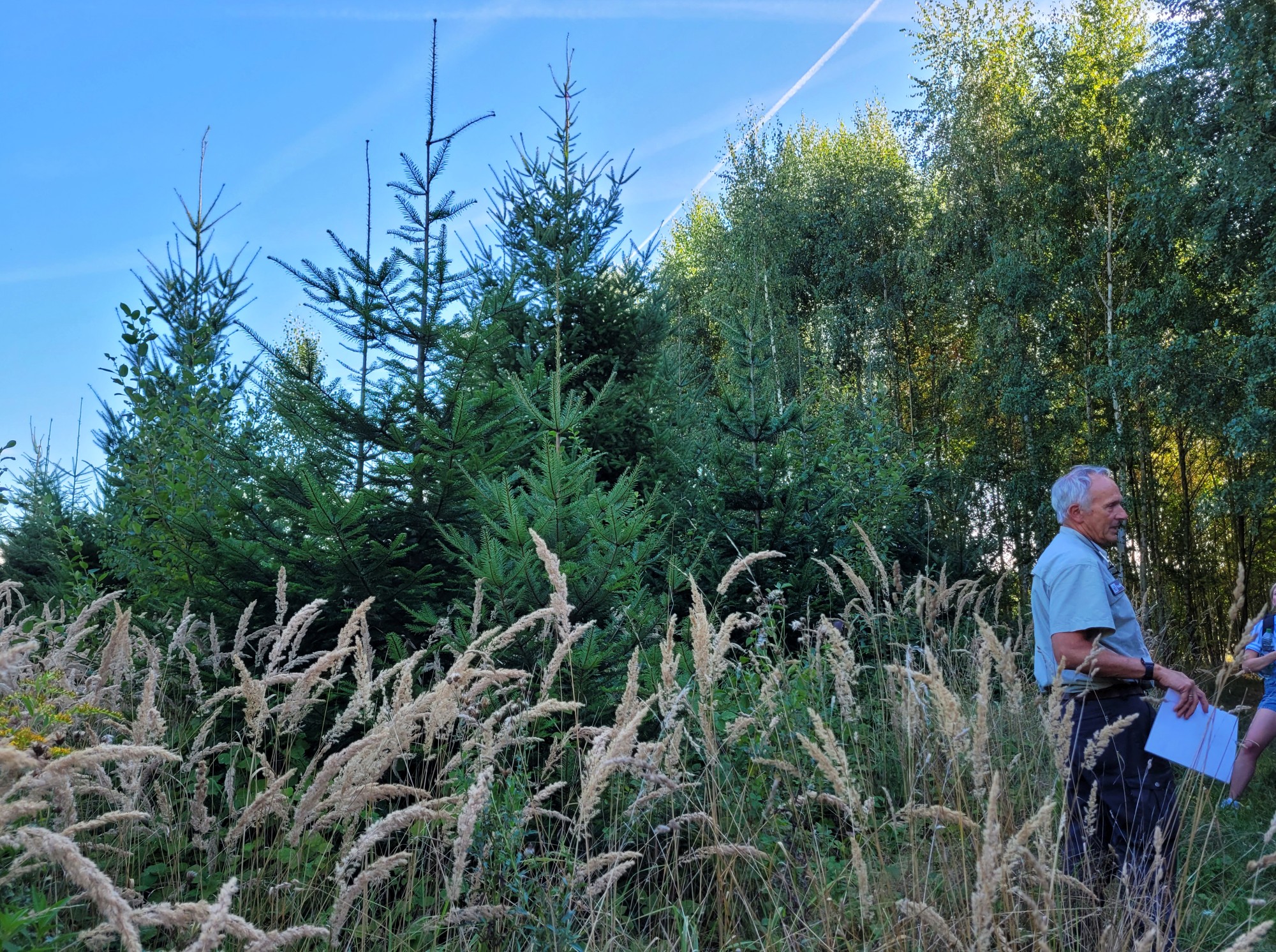 vorne ausgeblühtes hohes Gras, dahinter Nadelbäume und Birken; rechts Markus Bouwman; (c) Andrea Kamphuis