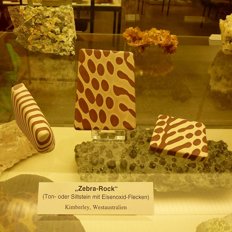 Zebra Rocks im Geomuseum Köln, Foto: Andrea Kamphuis