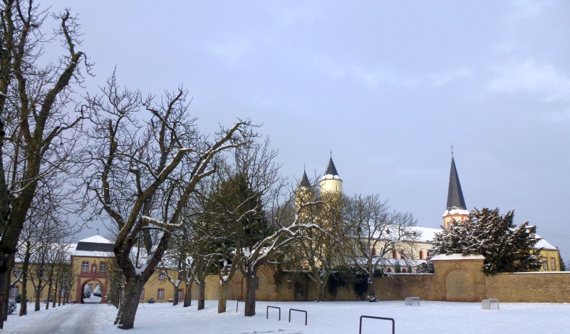 Kloster Steinfeld