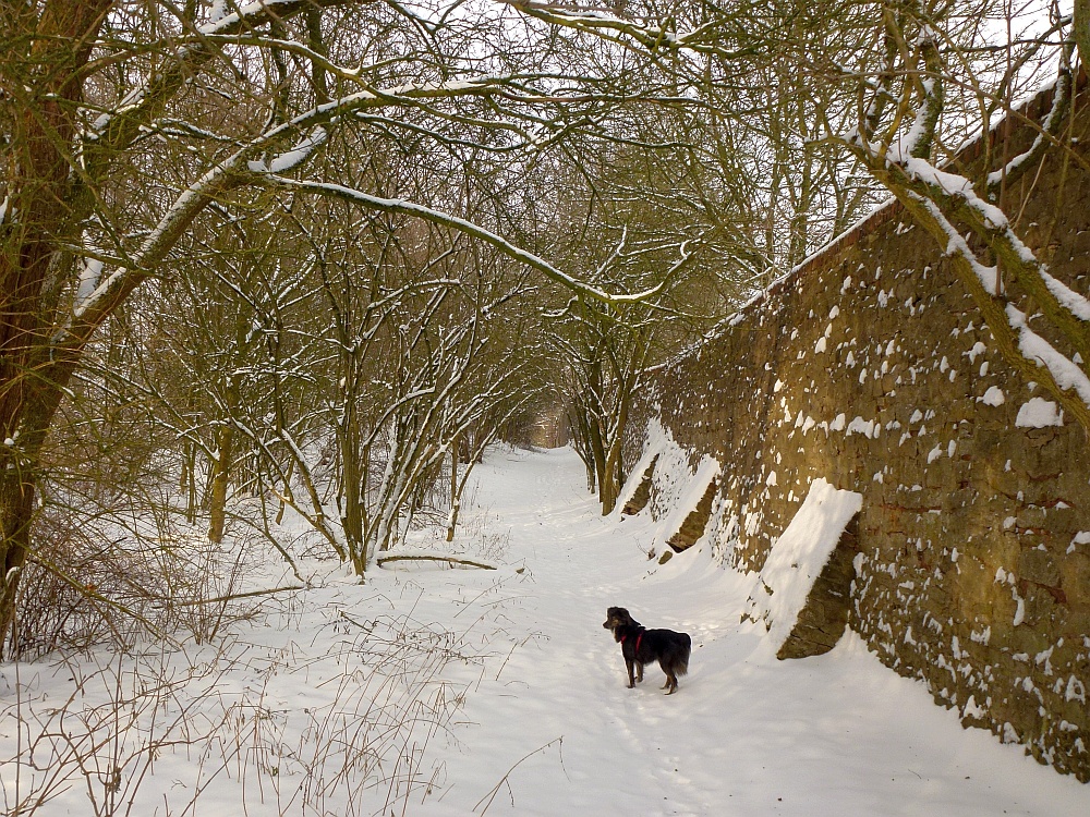 Eifelwanderung, Kall