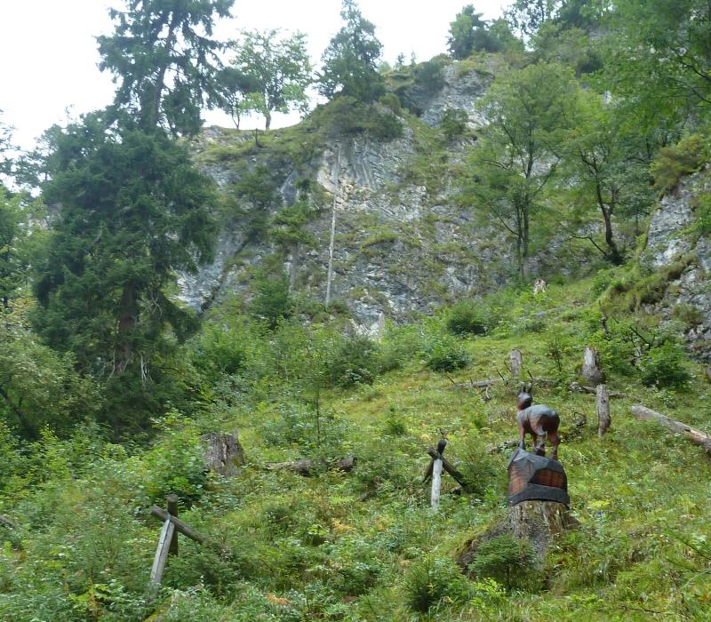 Bergwaldpfad; (c) Stephan Matthiesen