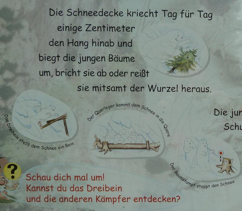 Infotafel im Bergwaldpfad