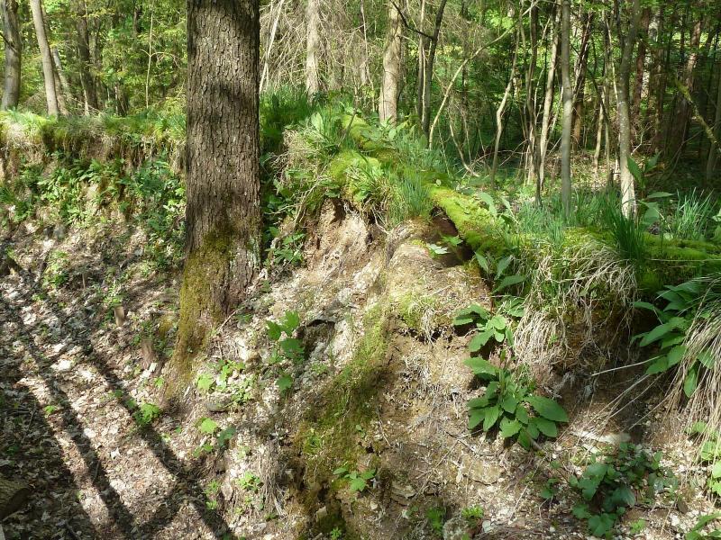 Steinerne Rinne bei Rohrbach; (c) Stephan Matthiesen