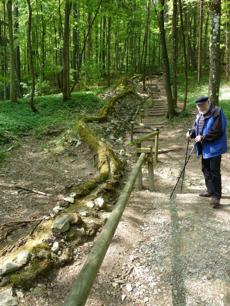 Steinerne Rinne bei Wolfsbronn; (c) Stephan Matthiesen