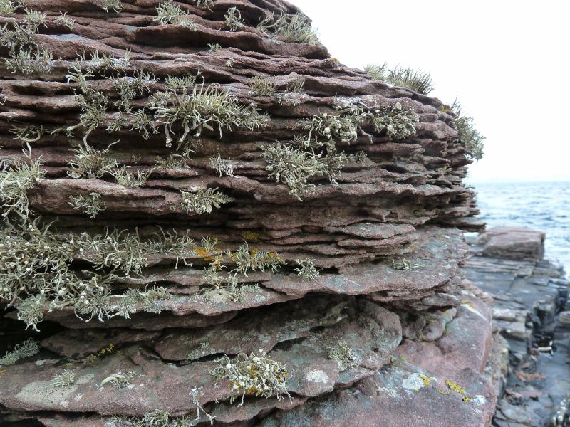 Sandsteinverwitterung in Scoraig; (c) Stephan Matthiesen