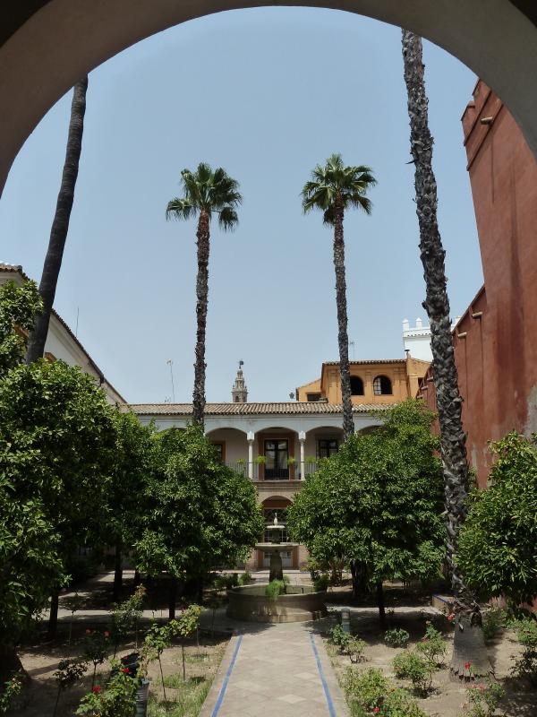 Palmen in Sevilla; (c) Stephan Matthiesen