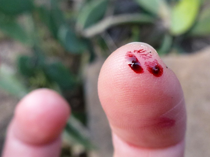 rote Farbe auf Fingerspitze, Foto: Andrea Kamphuis