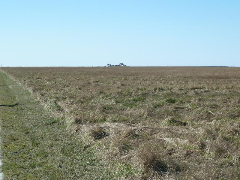 Salzwiese Hamburger Hallig; (c) Stephan Matthiesen