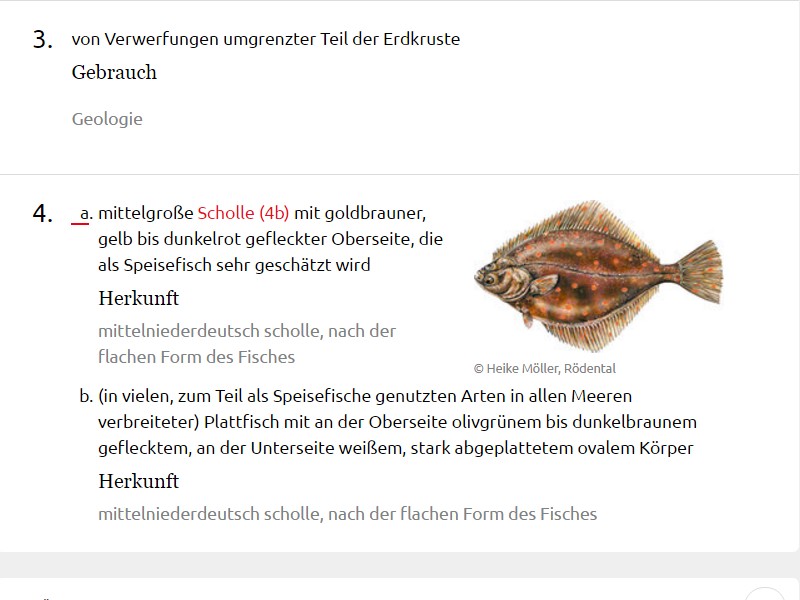 Screenshot Duden online, Eintrag Scholle