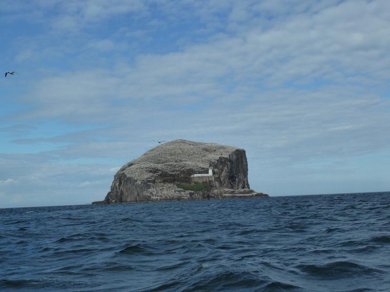 Bass Rock; (c) Stephan Matthiesen 2011