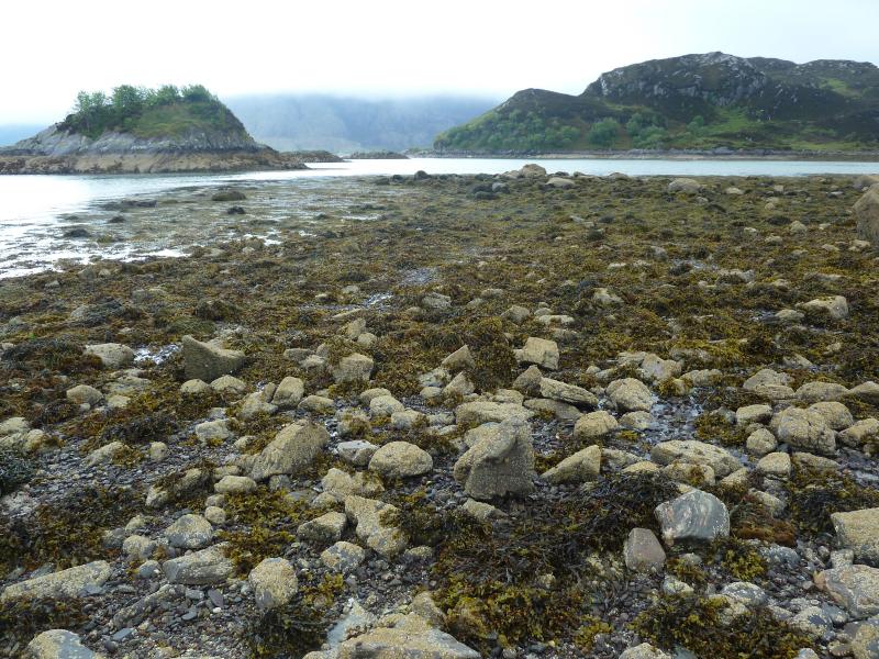 Blasentang an der Küste von Knoydart; (c) Stephan Matthiesen 2017