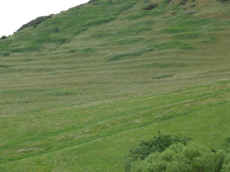 Hangterrassen Arthur's Seat; (c) Stephan Matthiesen 2017