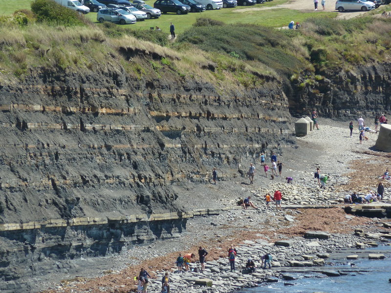 Kimmeridge Bay; (c) Stephan Matthiesen 2017