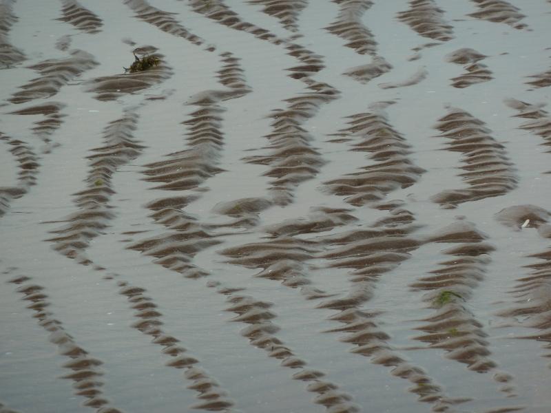 Rippel am Strand (c) Stephan Matthiesen 2018