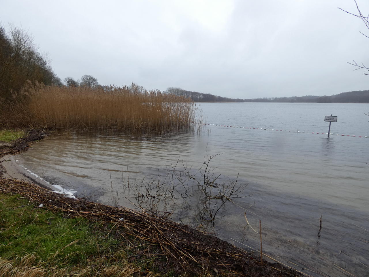 Belauer See; (c) Stephan Matthiesen 2019