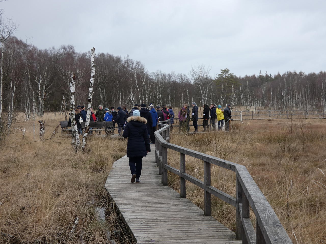 Exkursion ins Dosenmoor; (c) Stephan Matthiesen 2019