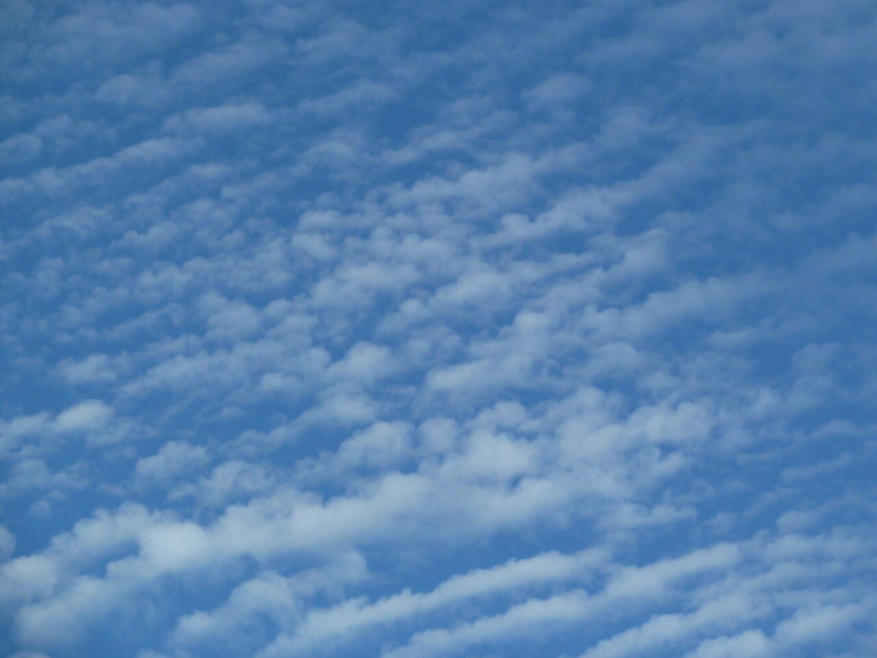 Cirrocumulus floccus; (c) Stephan Matthiesen