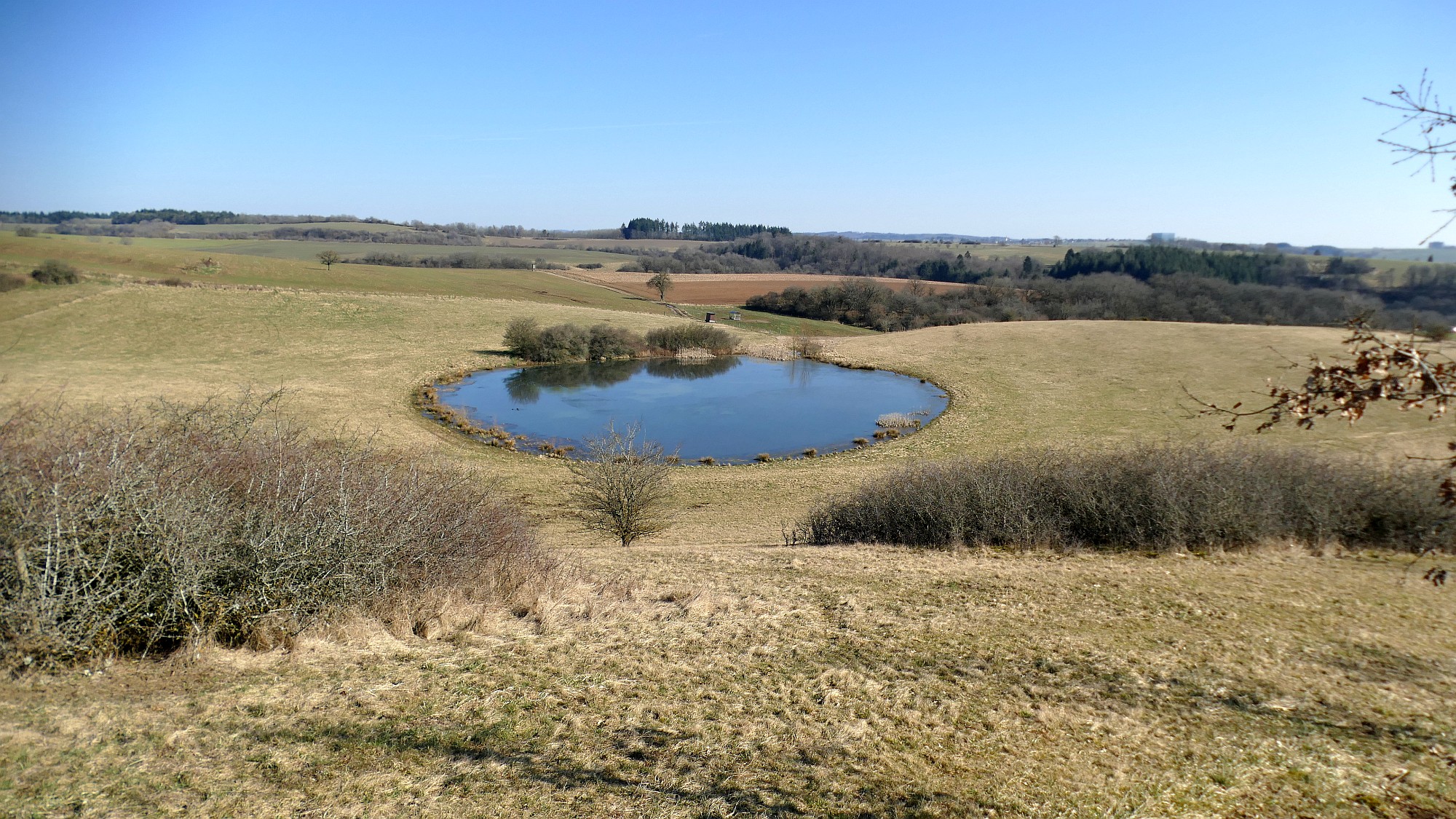 Das kleine Trautzberger Maar in der Vulkaneifel mit umgebender Landschaft