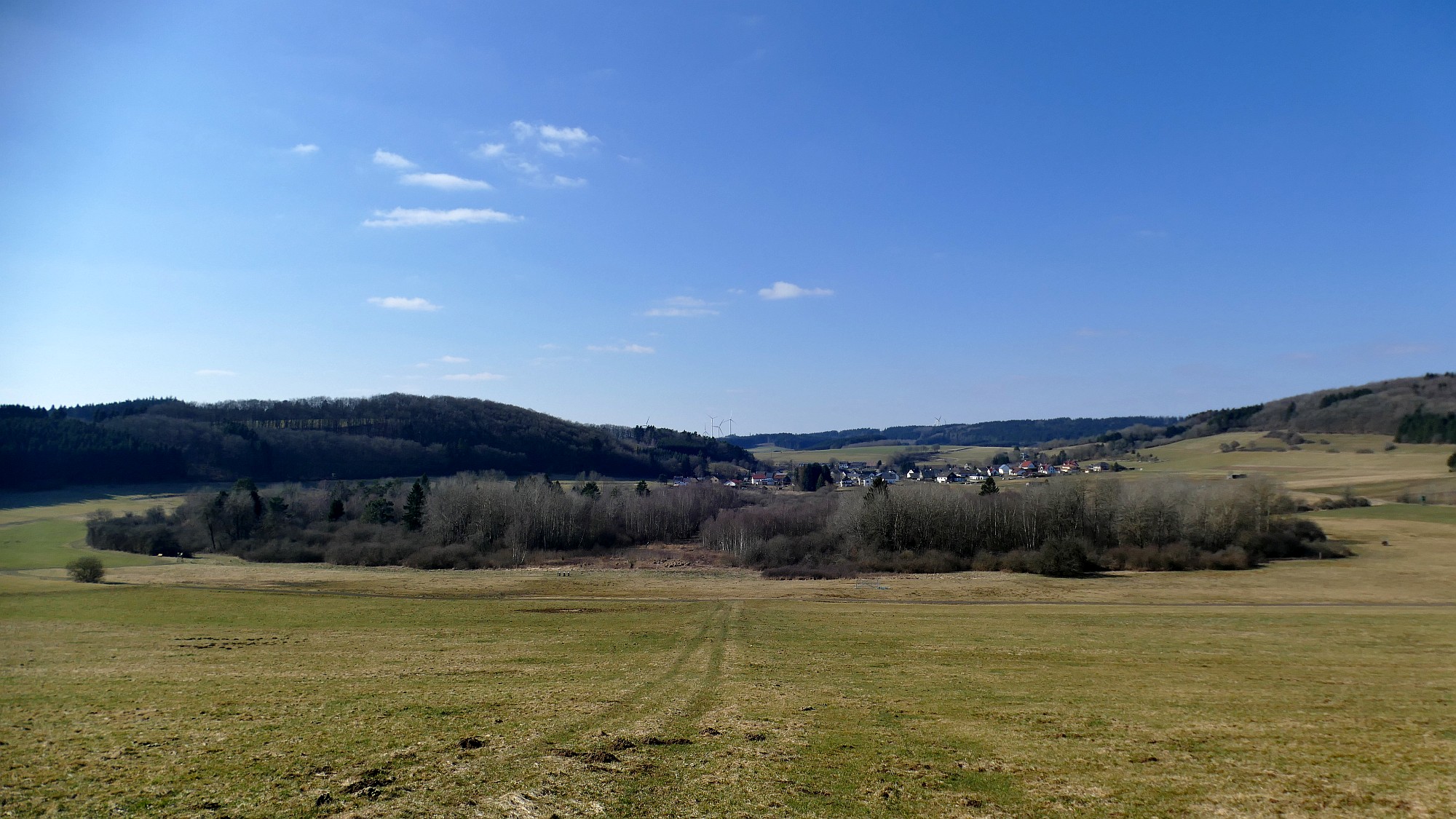 Der Mosbrucher Weiher, ein verlandetes Moor