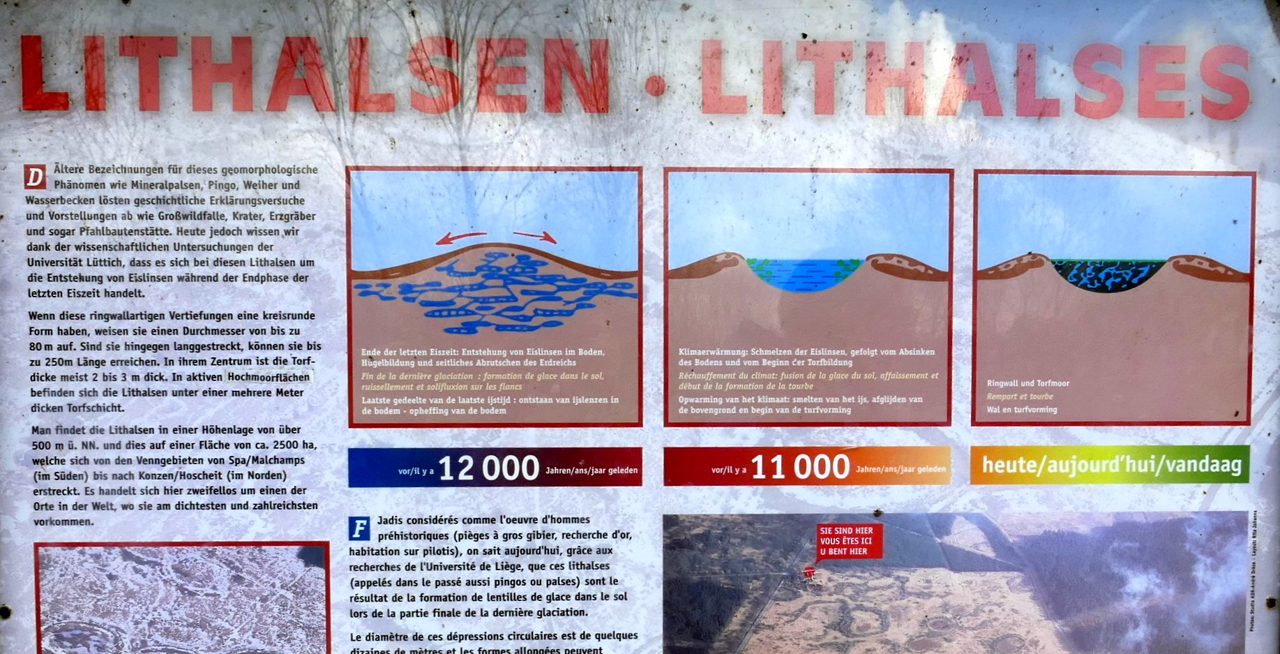 Infotafel zur Entstehung von Lithalsen am Eingang eines Rundwanderwegs