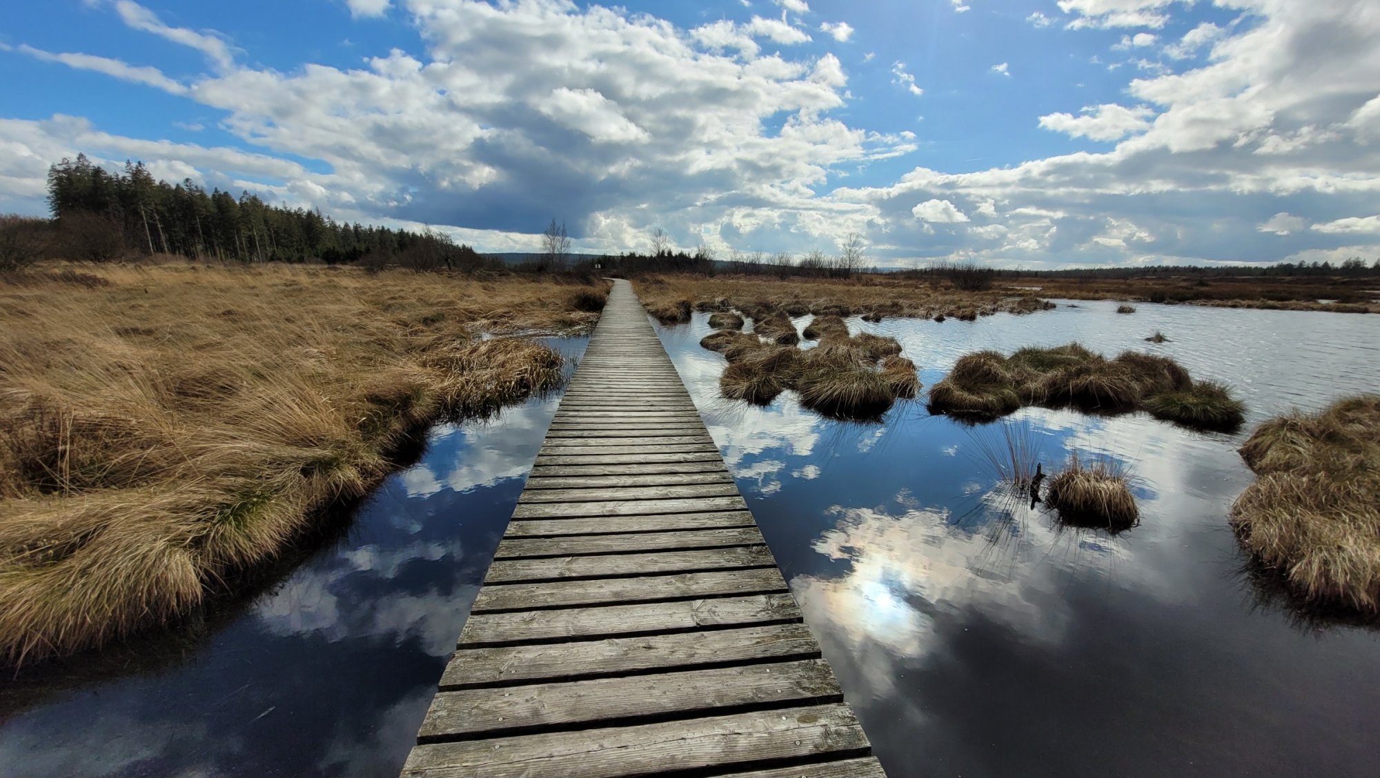 Holzsteg über ein Moor-Gewässer im Brackvenn, (c) Andrea Kamphuis