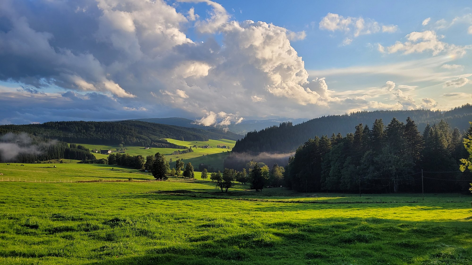 Landschaftsfoto mit Hügeln, sonnenbeschienenen Wiesen, dunklem Nadelwald und weiß-blauem Himmel