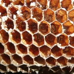 Bienenwabe