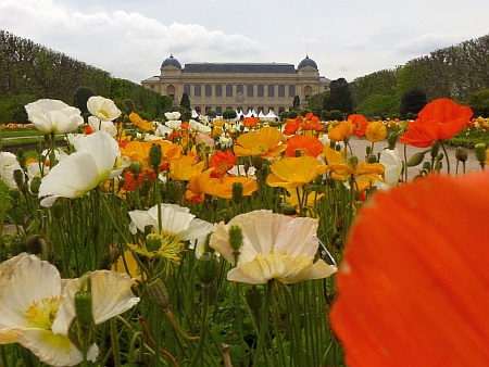 Naturkundemuseum Paris