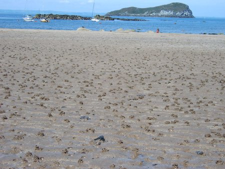 Strand bei North Berwick; (c) Stephan Matthiesen