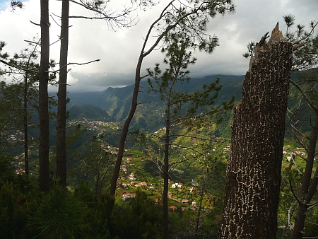 Madeira, Wanderung 31.01.2011