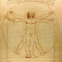 Leonardo Da Vinci (1492): Der vitruvianische Mensch