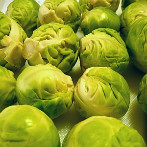 Rosenkohl