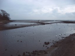 Ebbe bei Cramond Island, Edinburgh